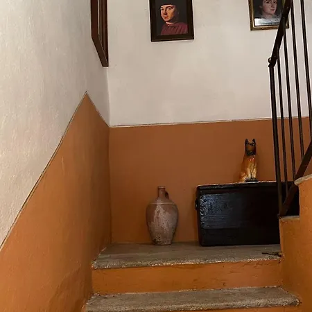 Ilovepigra Historic House Дом отдыха Pigra
